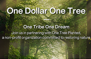 补登：关注情形；；；；；，，，，，践行低碳理念